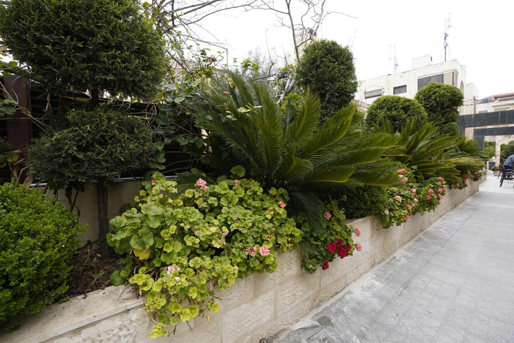 Naylover Hotel Suites Αμμάν Εξωτερικό φωτογραφία