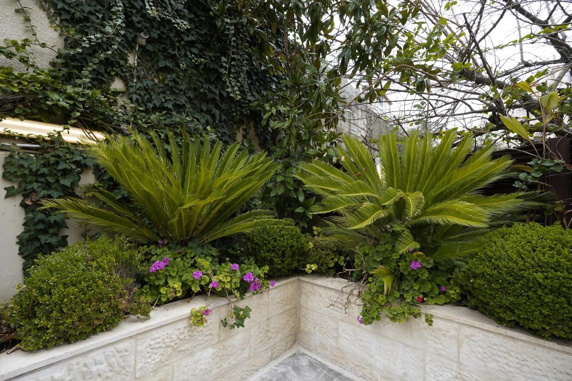 Naylover Hotel Suites Αμμάν Εξωτερικό φωτογραφία