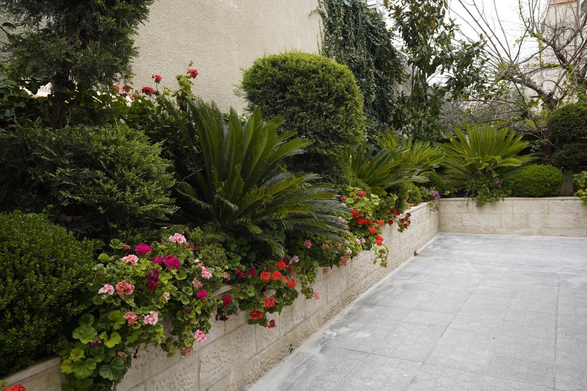 Naylover Hotel Suites Αμμάν Εξωτερικό φωτογραφία